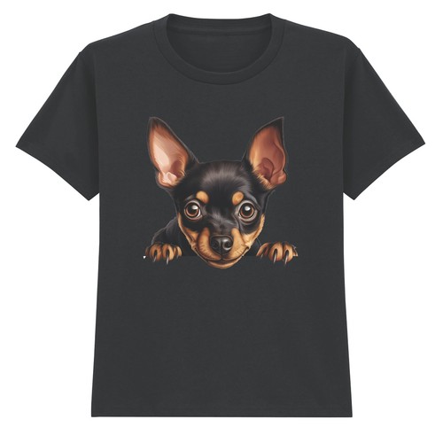 Miniature pinscher puppy - puppy, dog