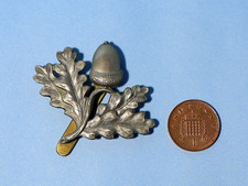 South Nottinghamshire Hussars