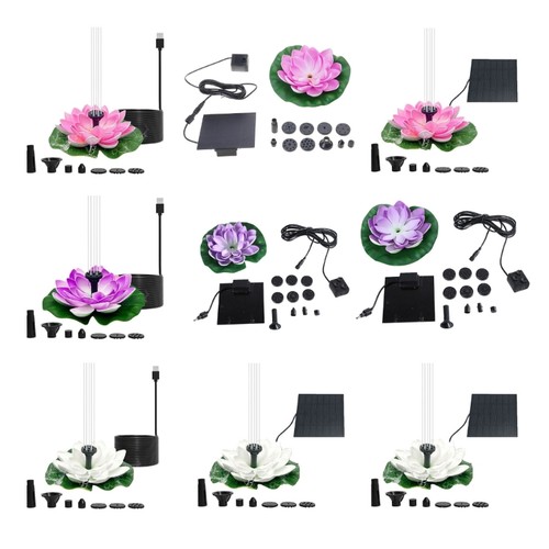 Outdoor pond water lilies - outdoor,