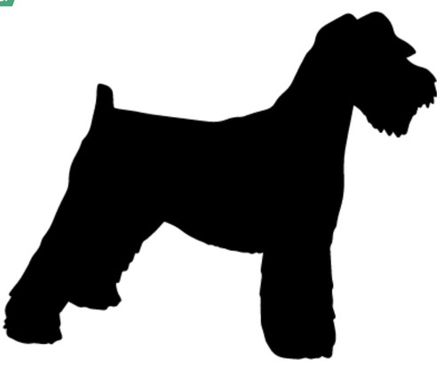 Schnauzer dog vinyl - dog, decal