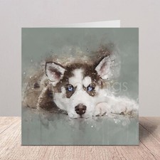 Husky greetings birthday - husky,