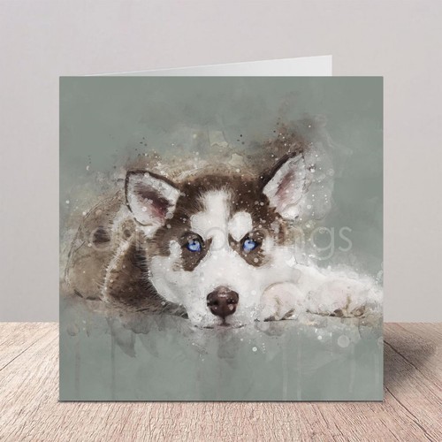 Husky greetings birthday - |,