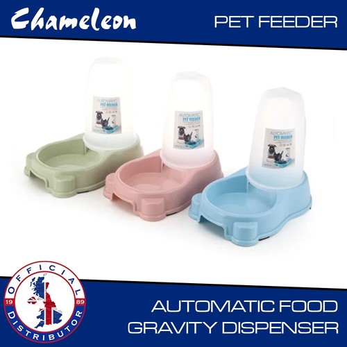 Pet dry food dispenser auto