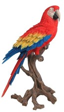 LIFE SIZE & LARGE RED MACAW