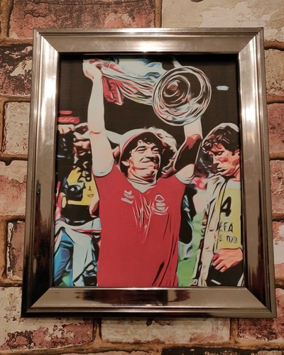 Nottingham forest european cup - nottingham,
