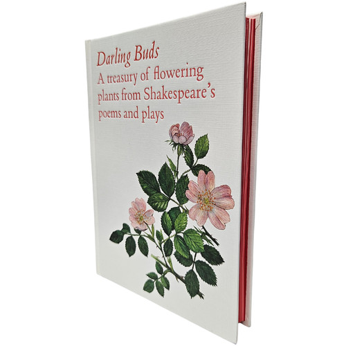 Darling buds william - buds,