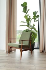 Vintage Armchair Swamp Green