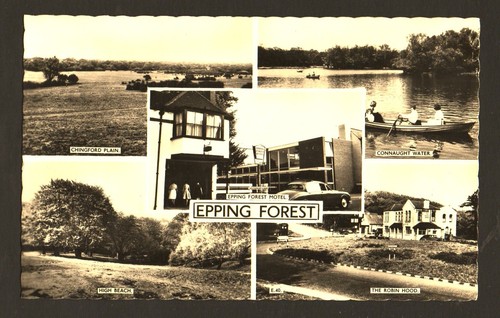 Old postcard views epping - old,