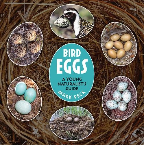 Bird eggs 9780228104827 - bird,