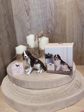 Springer Spaniel Dog Resin