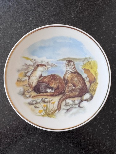 Wildlife britain otters - wildlife,