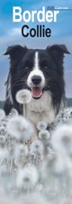 Border Collie Slim Calendar 2026