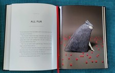 The Singing Bones Shaun Tan