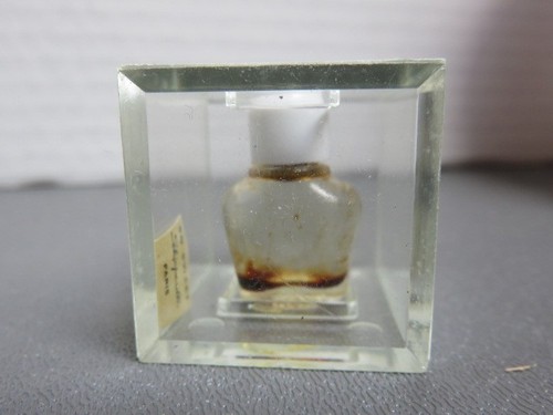 Sweet tiniest schiaparelli - tiniest,