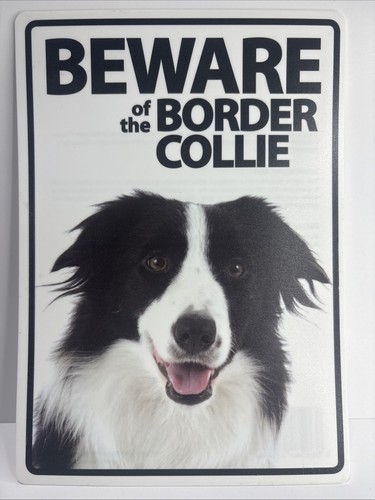 Dog sign border collie - dog,