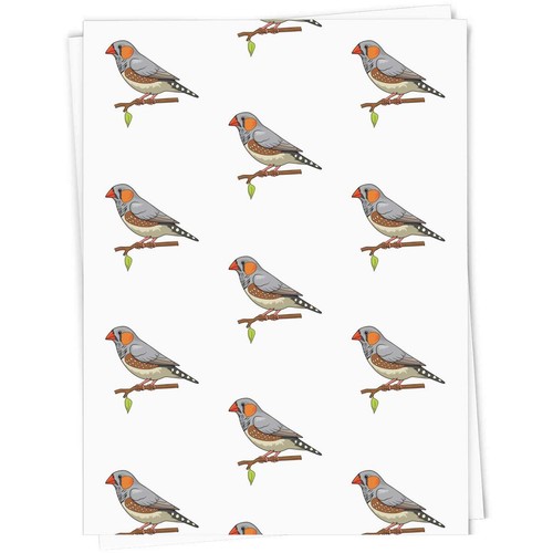 Zebra finch gift wrap - gift, /