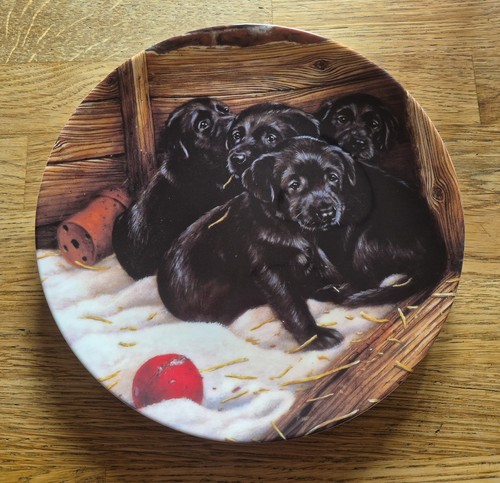 Danbury mint playful puppies - playful,