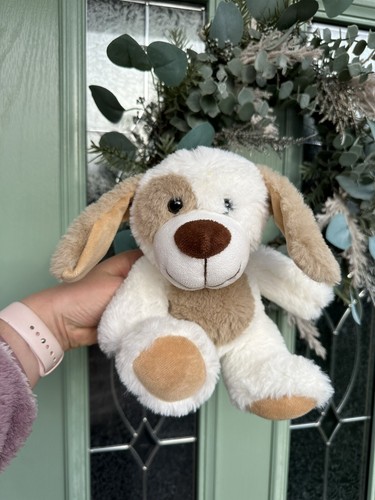 Card factory dog teddy - card, bear