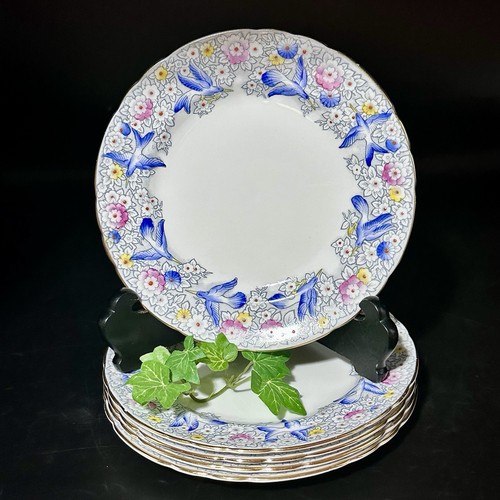 Vintage tuscan fine bone - tuscan,