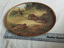 DAVENPORT PARTRIDGE ON A GRASSY HILL  (STACK 2)