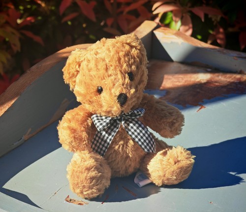 Vintage teddy bear plush toy - teddy,
