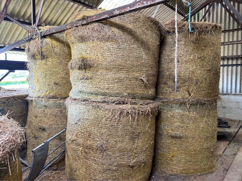 Large round bales hay - large,