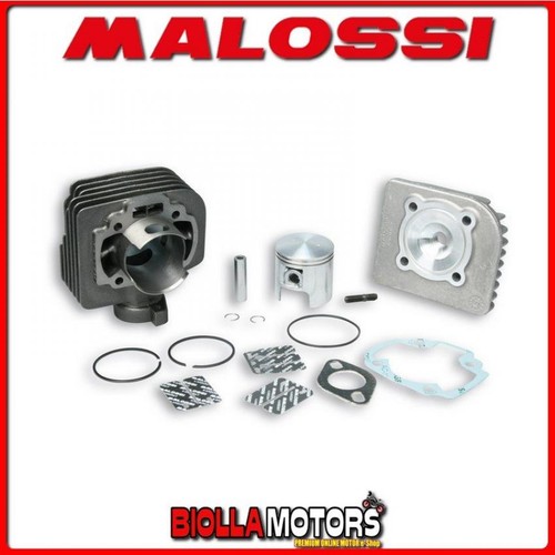318723 cylinder kit malossi - 318723,