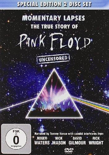 Pink floyd momentary - pink,