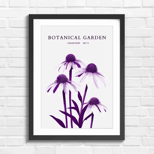 Botanical garden coneflowers - garden,