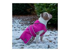 Ancol Pink Stormguard Warm