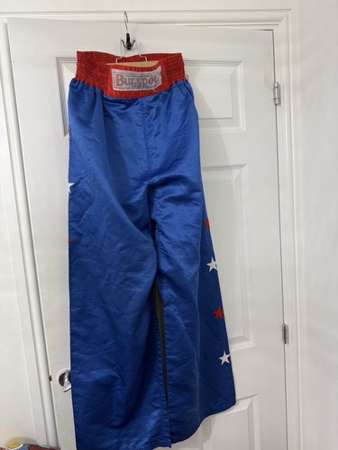 Bulldog sports kickboxing - sports,