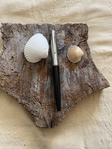 Parker fountain pen - fountain,