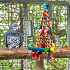 Bird perches chew toy - bird,