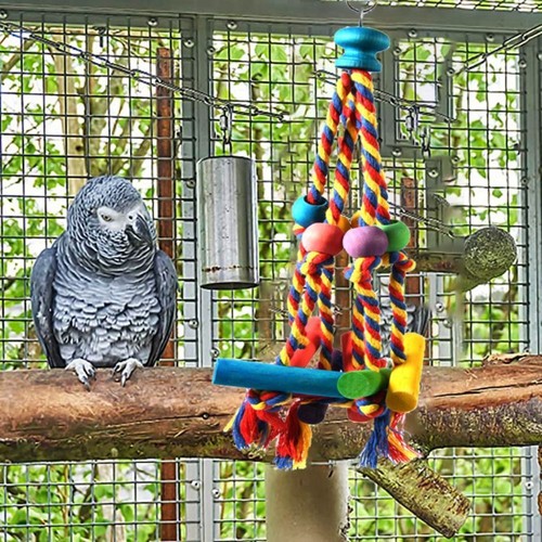 Bird perches chew toy funny - bird,