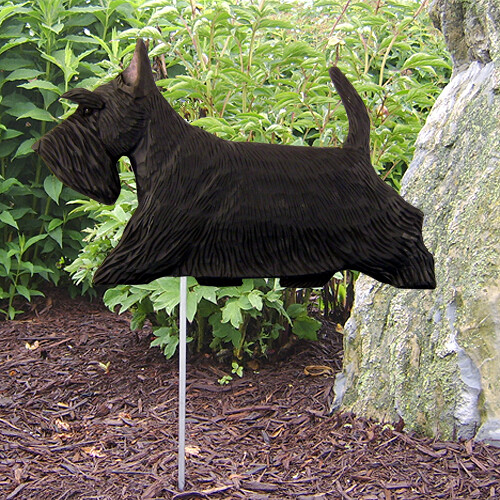 Scottish terrier dig - scottish, garden