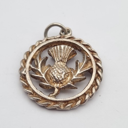 Vintage silver thistle - vintage,