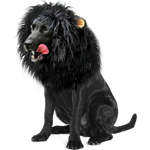 Pet costume lion mane wig - pet, for