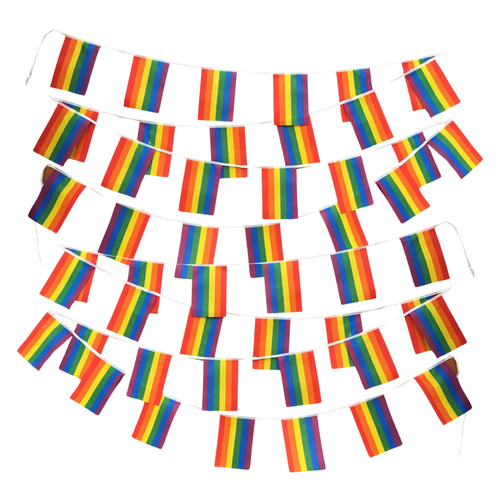 Rainbow pride flag bunting - rainbow,