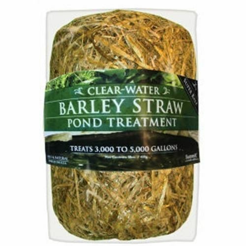 Summit 135 clear water barley - clear,