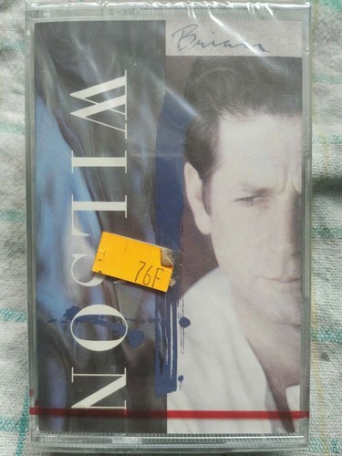 Brian wilson audio cassette - wilson/,