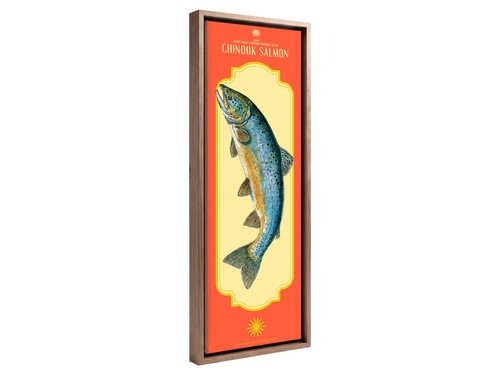 Vintage salmon canvas wall art - vintage,