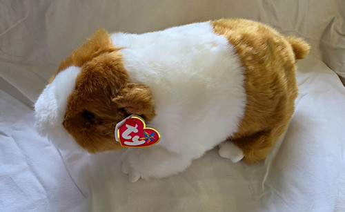 Beanie buddies twitch - beanie,