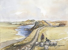 Tom Macdonald The Roman Wall