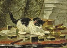Henriette Ronner-Knip Cat 7x5