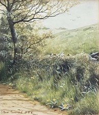 Steven Townsend Original