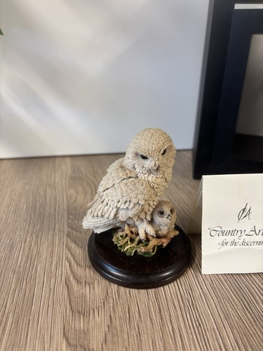 Country artists snowy owl - artists,