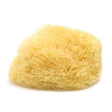 Sea Wool Sponge – Natural