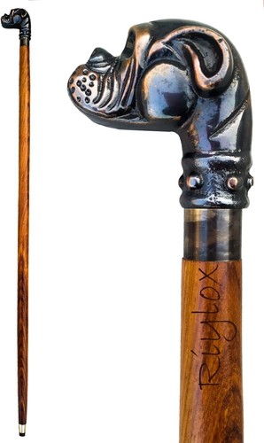 Wooden walking stick - walking,