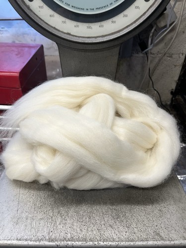 Natural white cheviot wool - natural,