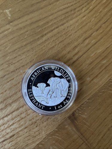 2026 silver 999 - oz, african